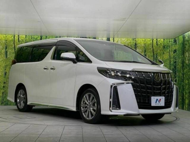 ALPHARD-16