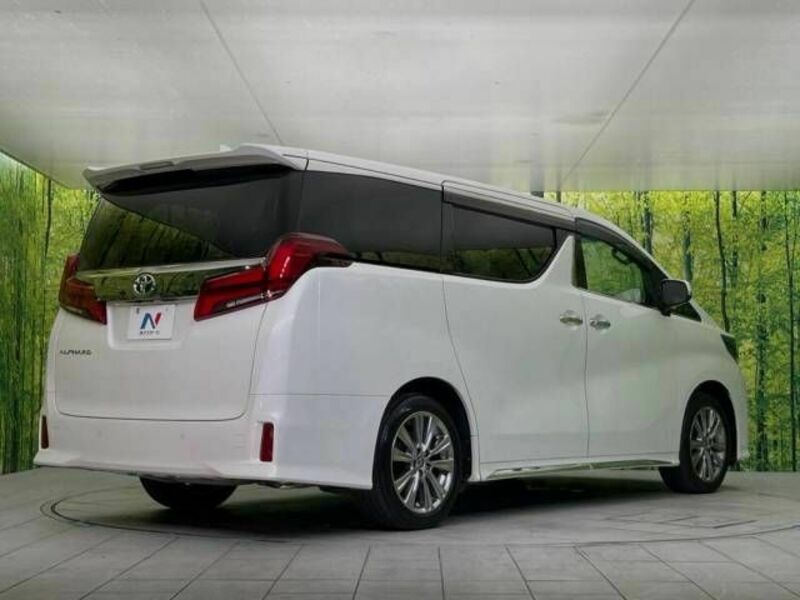 ALPHARD-17