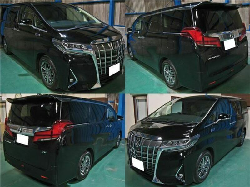 ALPHARD-1