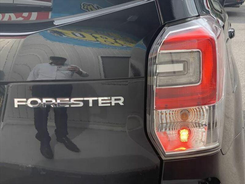 FORESTER-34