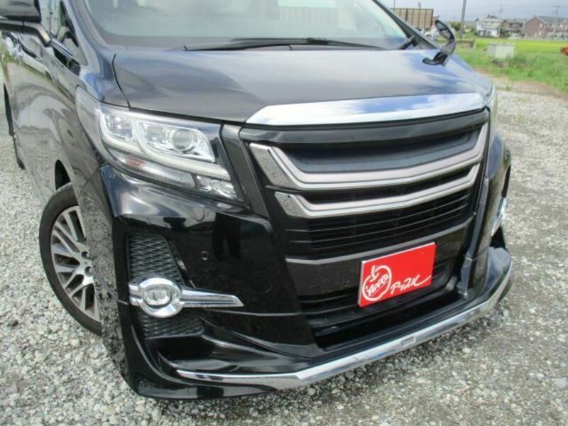 ALPHARD-4