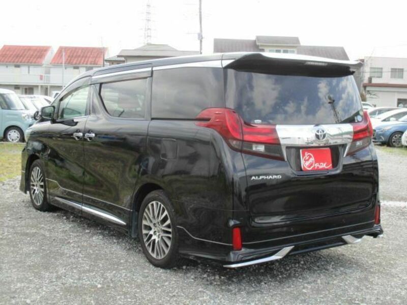 ALPHARD-10