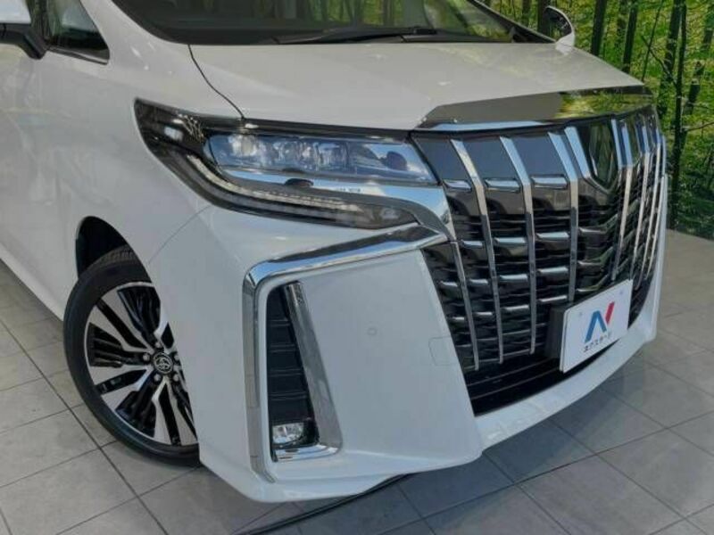 ALPHARD-13