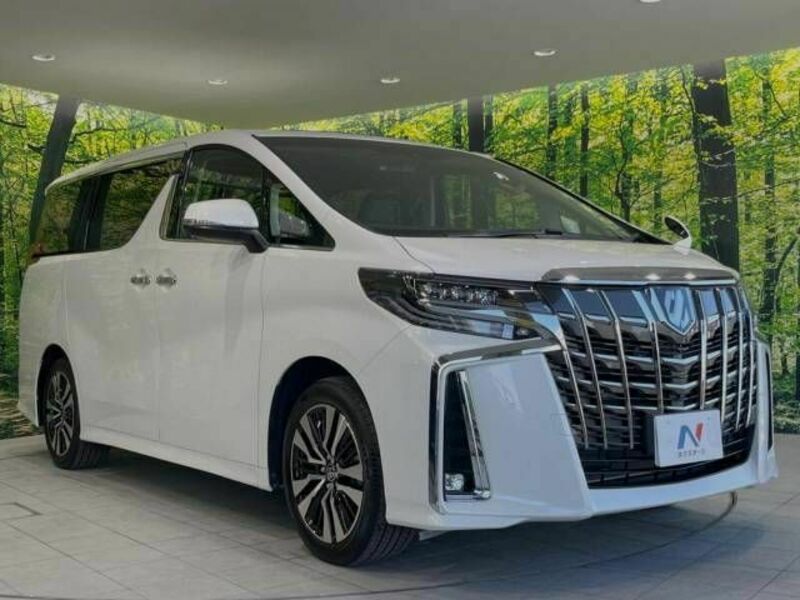 ALPHARD-17