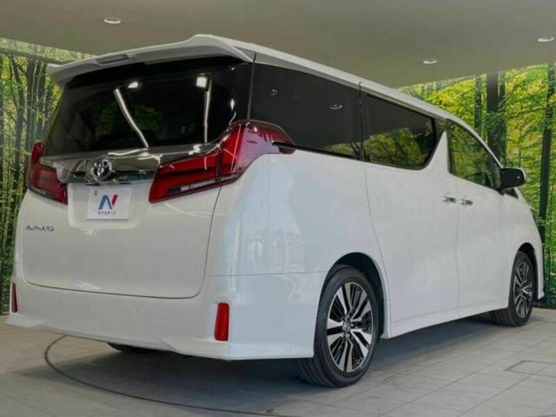 ALPHARD-18