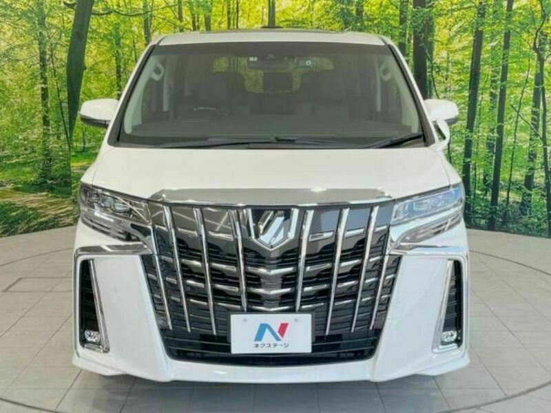 ALPHARD-16