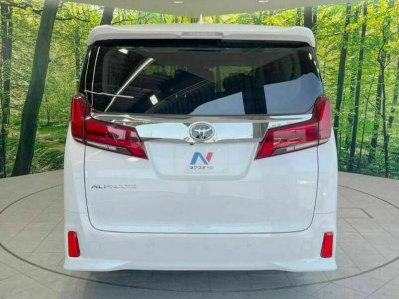 ALPHARD-17