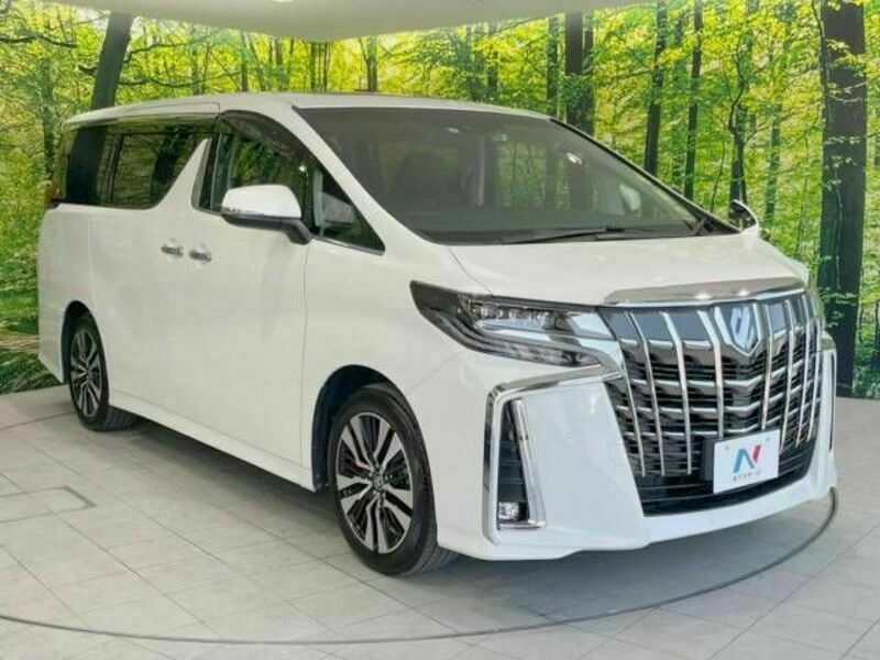 ALPHARD-18