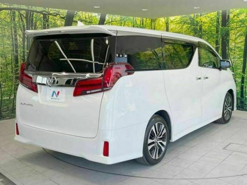 ALPHARD-19