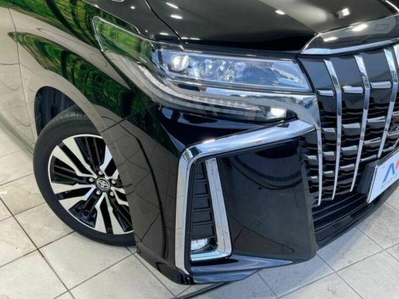 ALPHARD-14