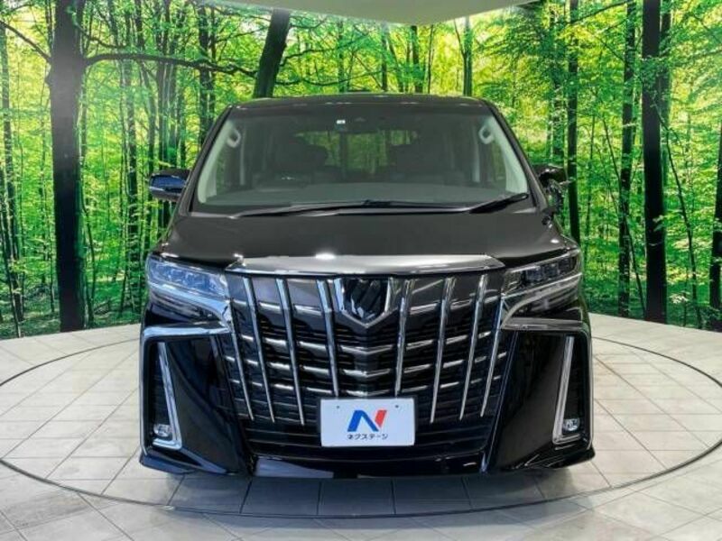 ALPHARD-16