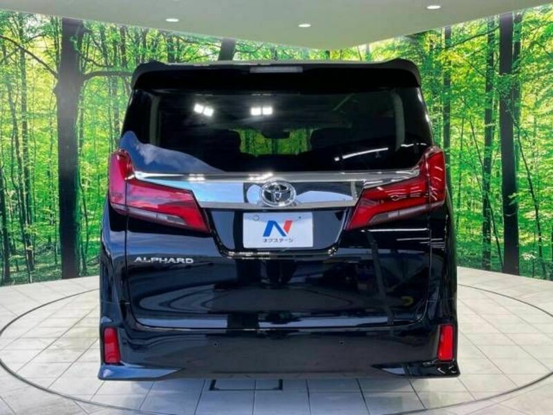 ALPHARD-17