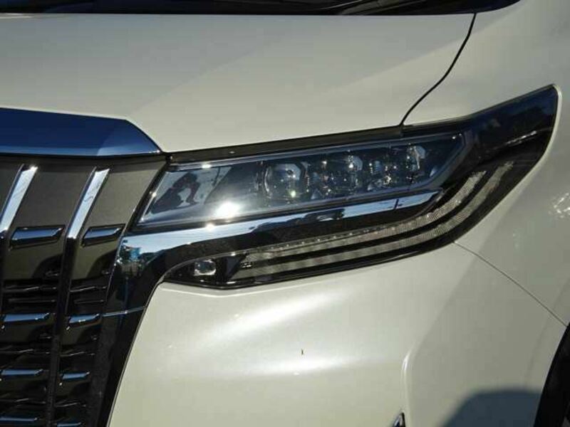 ALPHARD-15