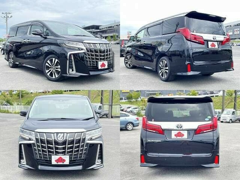 ALPHARD-8