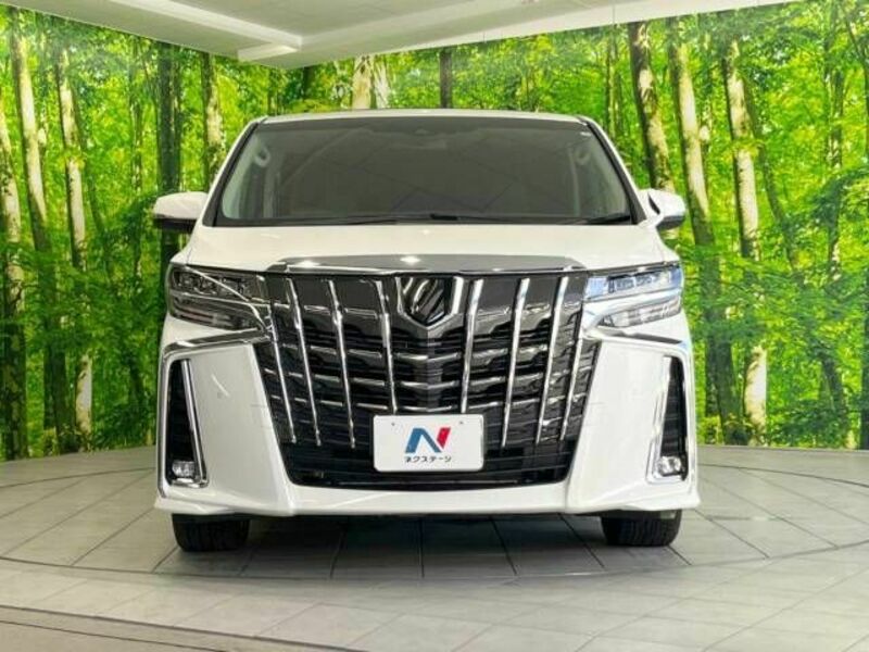 ALPHARD-15