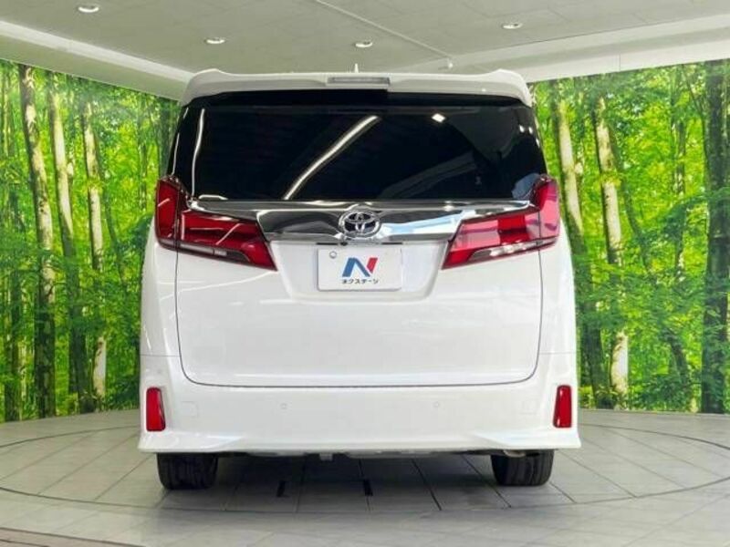 ALPHARD-16