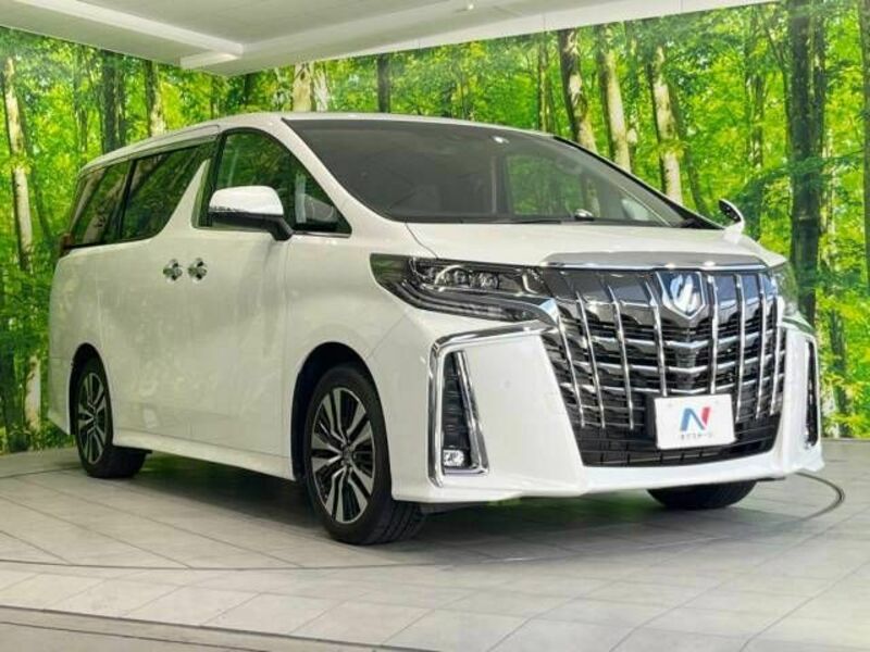 ALPHARD-17