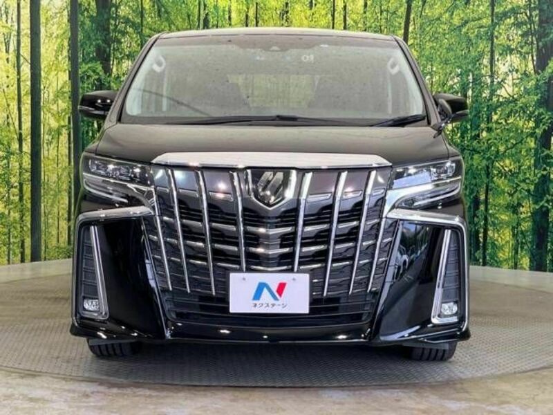 ALPHARD-15