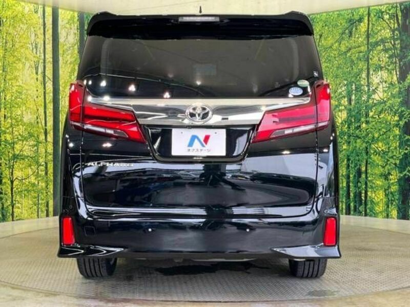 ALPHARD-16