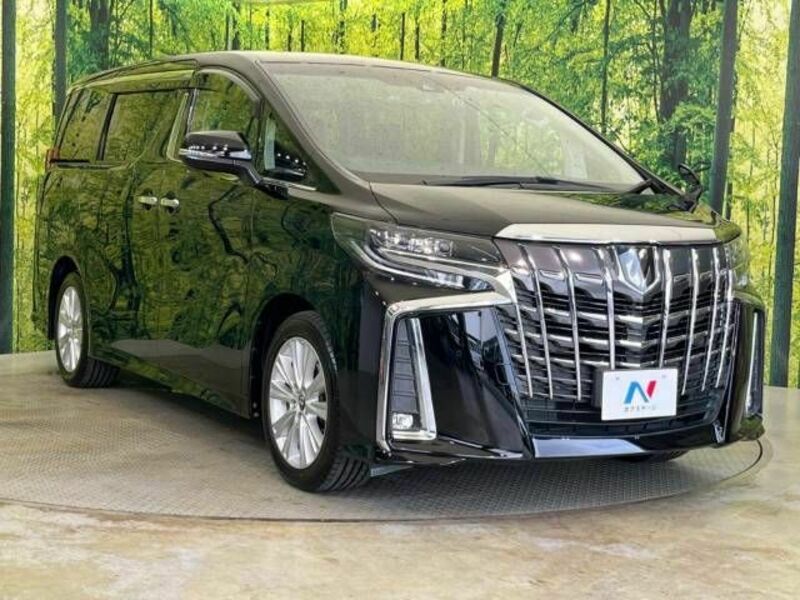 ALPHARD-17