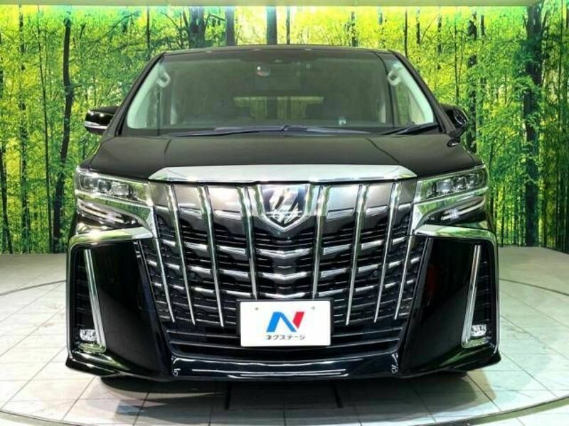 ALPHARD-15