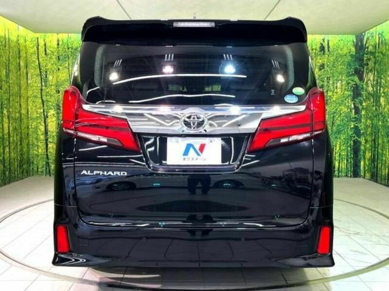 ALPHARD-16