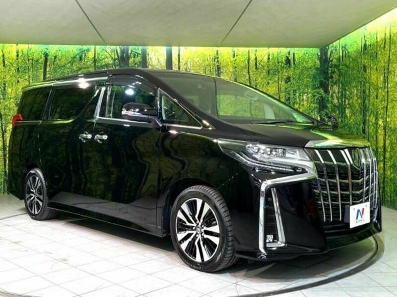 ALPHARD-17