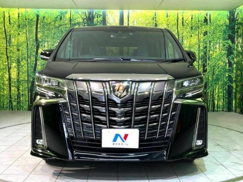 ALPHARD-15