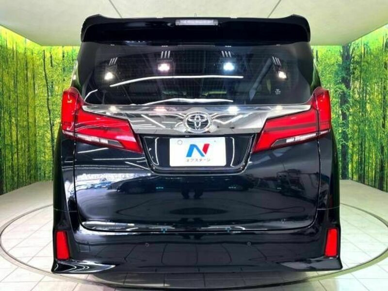 ALPHARD-16