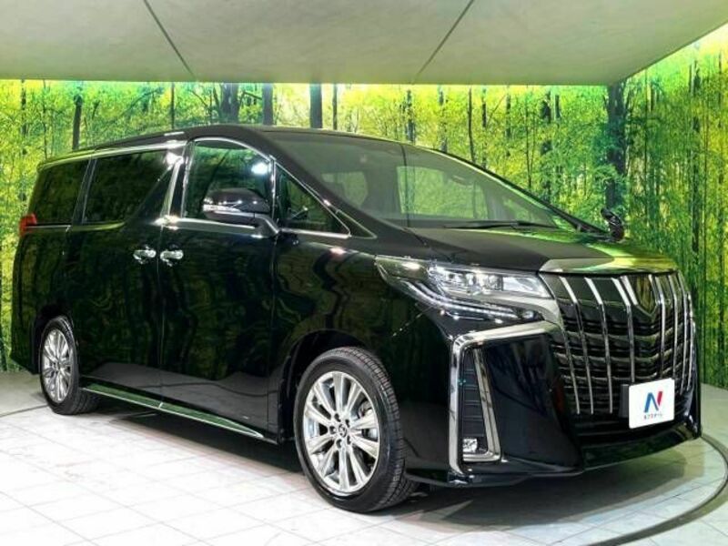 ALPHARD-17