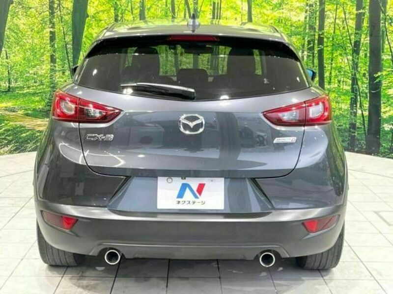 CX-3-15