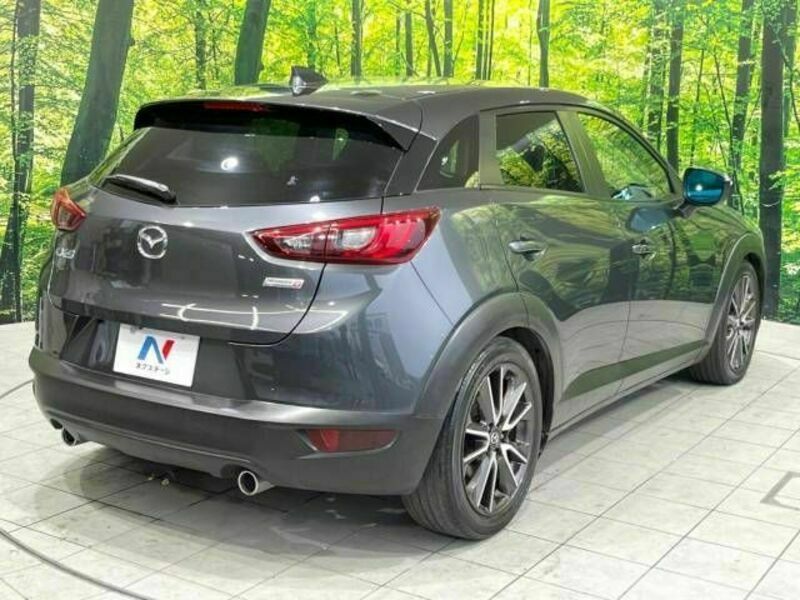 CX-3-17