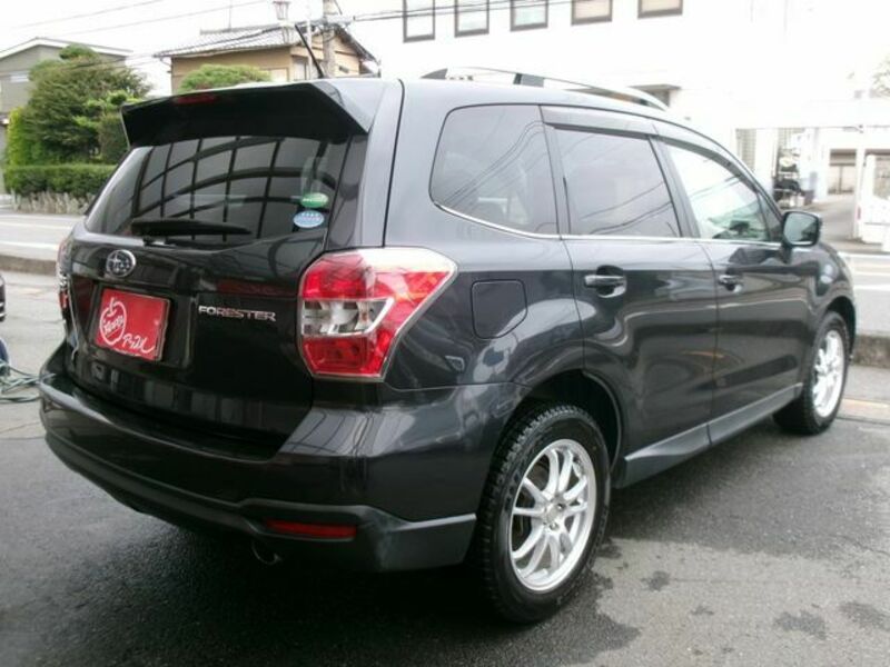 FORESTER-2