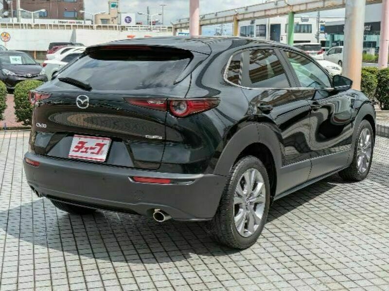 CX-30-2