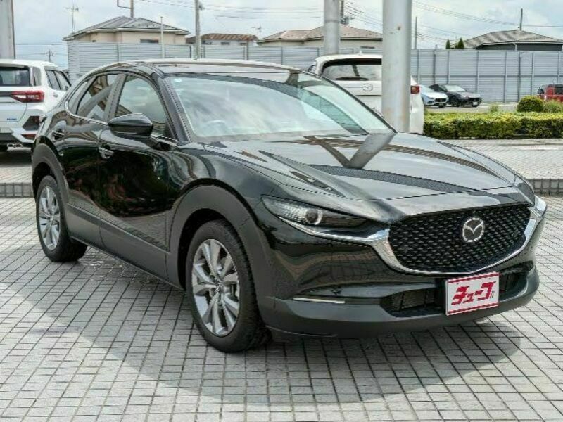 CX-30-6