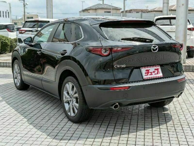 CX-30-8