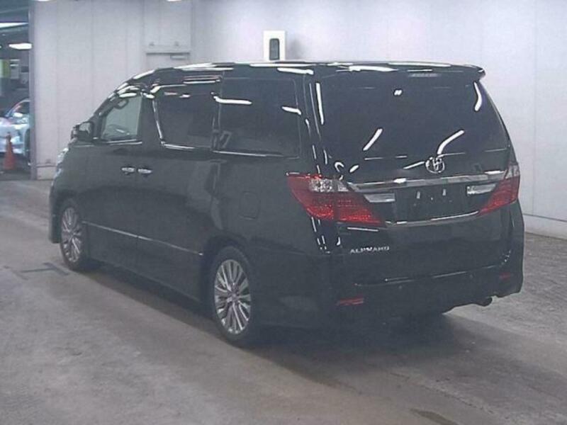 ALPHARD-2