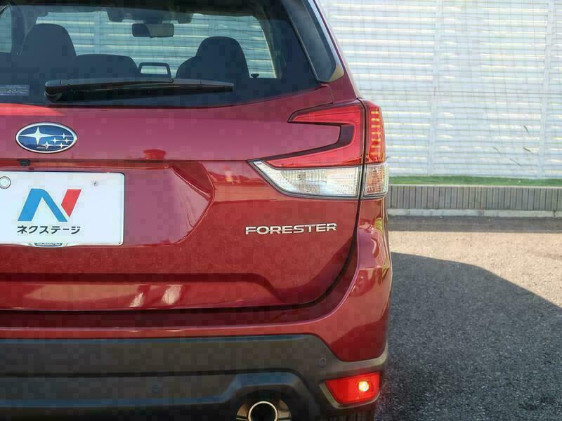 FORESTER