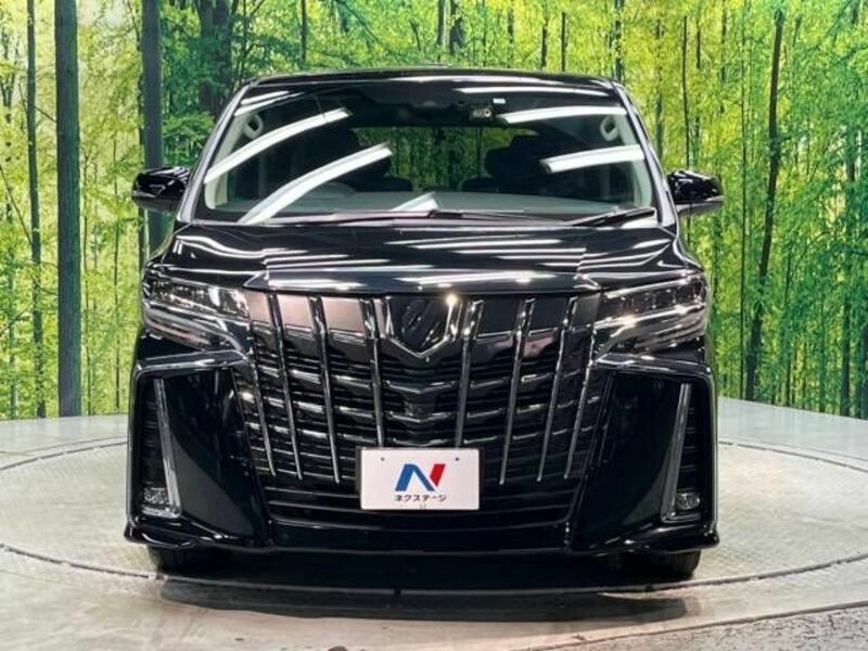 ALPHARD-15