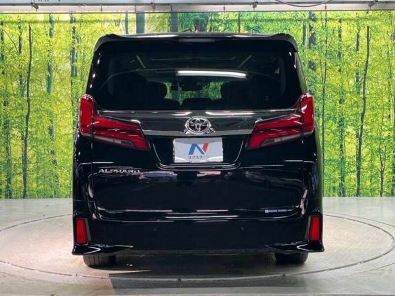 ALPHARD-16