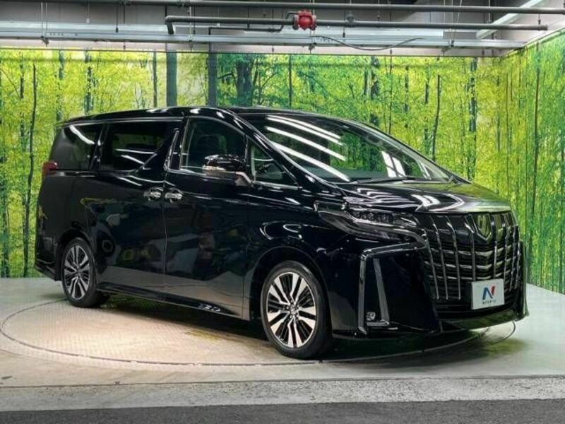 ALPHARD-17