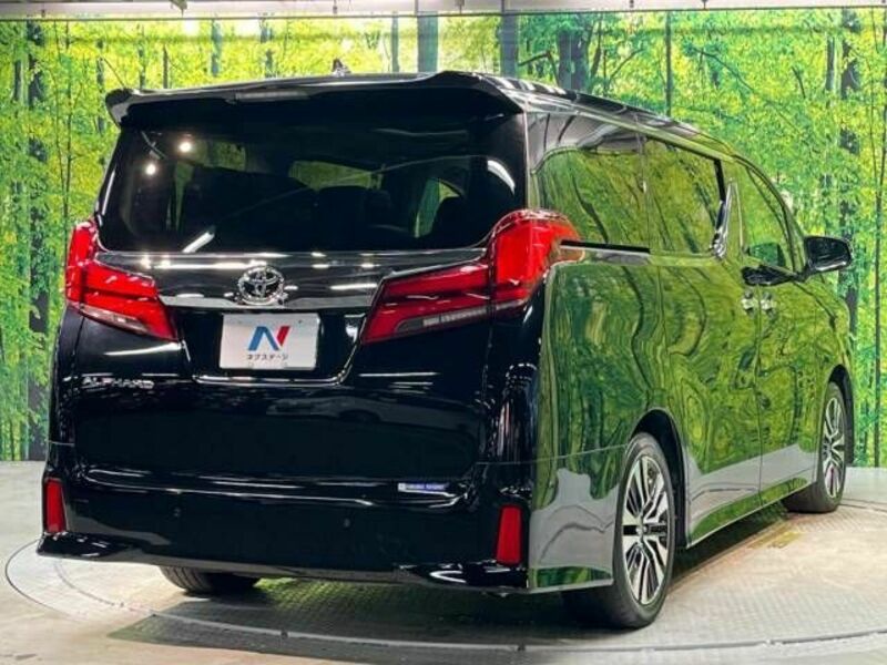 ALPHARD-18