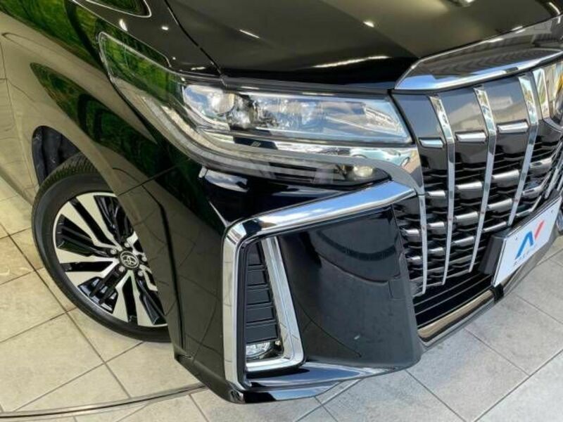 ALPHARD-14