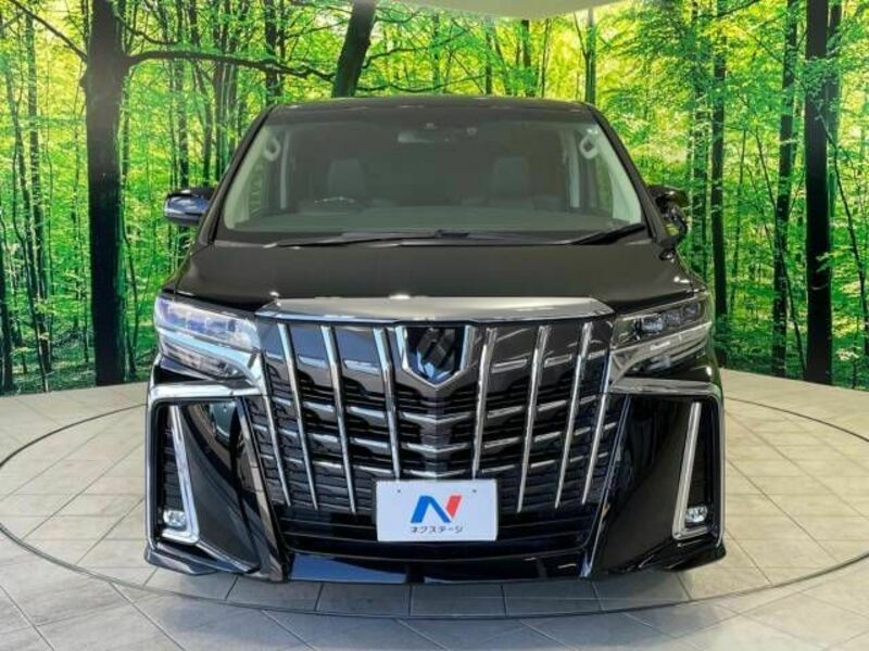 ALPHARD-16