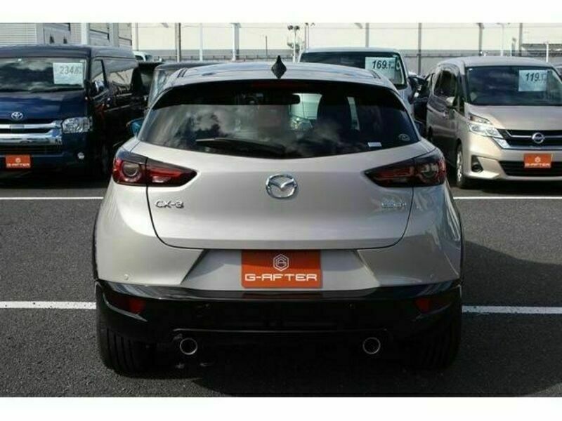 CX-3-10