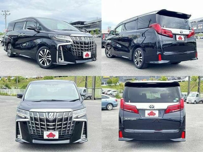 ALPHARD-8