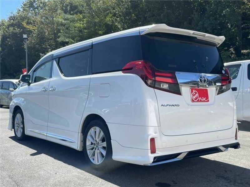 ALPHARD-19