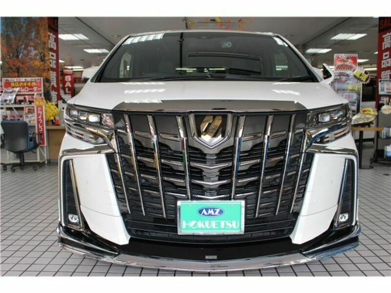 ALPHARD-3