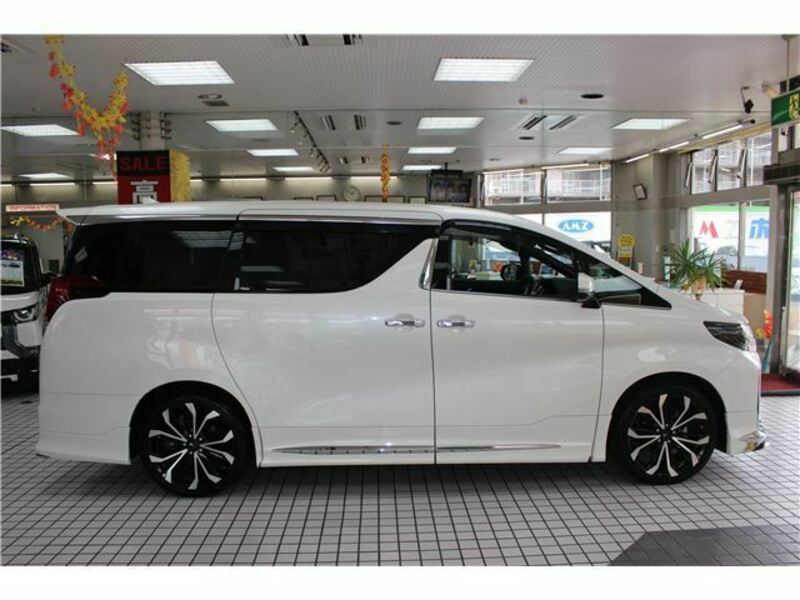 ALPHARD-6