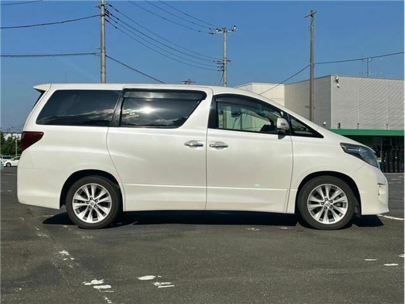 ALPHARD-41